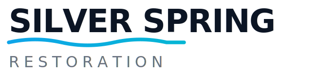 Silver Spring Restoration